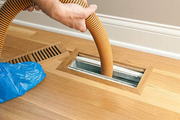 Best Air Duct Mold Removal  in Lebanon Junction, KY